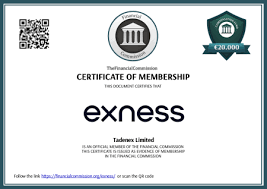 Understanding the Exness Trading Account Your Gateway to the Financial Markets